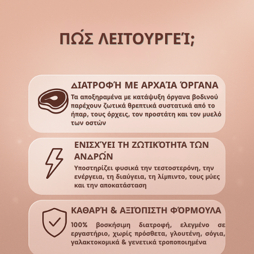WILDPOWER – Το Αρχαίο Ανδρικό Μυστικό που Κάνει τους Σύγχρονους Άνδρες να Νιώθουν Ξανά 20