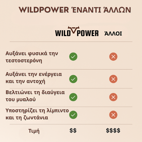 WILDPOWER – Το Αρχαίο Ανδρικό Μυστικό που Κάνει τους Σύγχρονους Άνδρες να Νιώθουν Ξανά 20